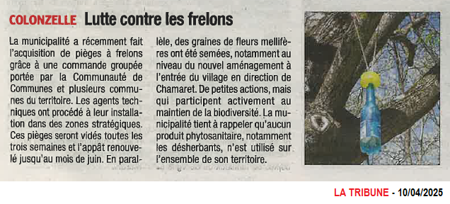 20250410 COLONZELLE PIEGE FRELONS MUTU CCEPPG